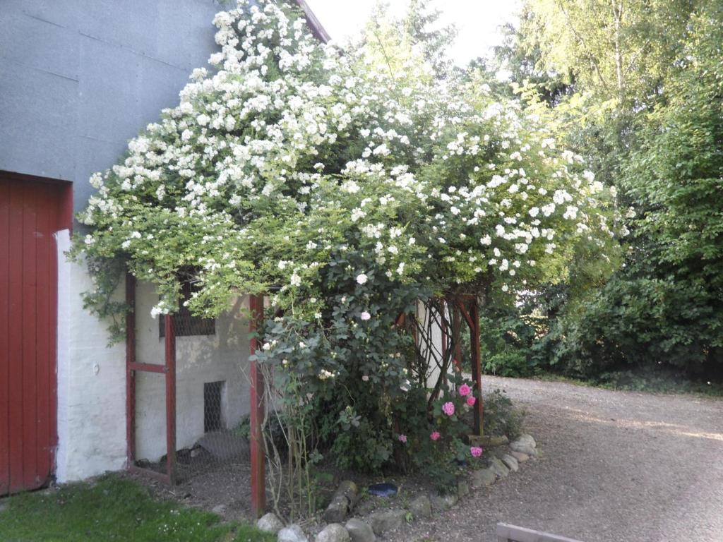 Willa Lille Degnbol Zewnętrze zdjęcie