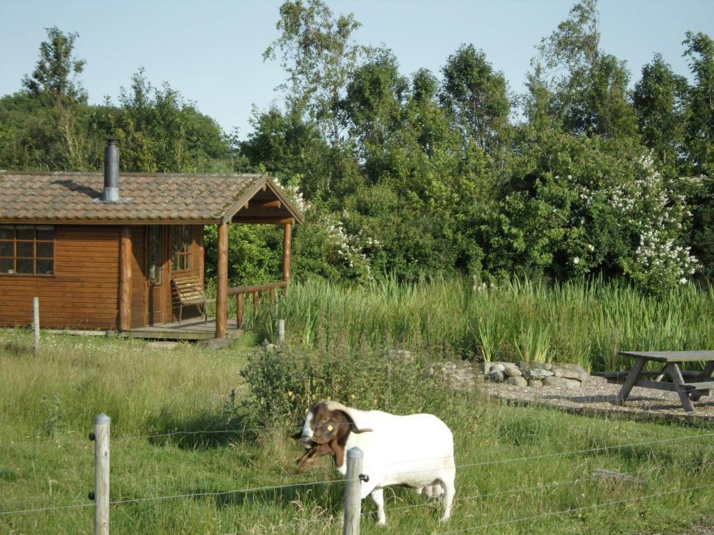 Willa Lille Degnbol Zewnętrze zdjęcie